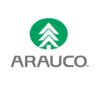 arauco arauco